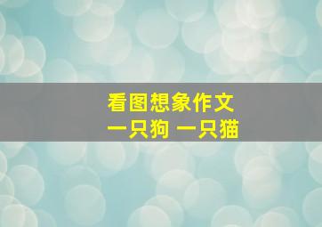 看图想象作文 一只狗 一只猫